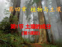 《土壤的成分（1）》PPT课件-八年级下册科学浙教版