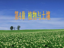《土壤的成分》PPT课件 (3)-八年级下册科学浙教版