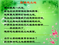 《土壤的成分》PPT课件 (4)-八年级下册科学浙教版