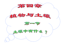 《土壤的成分》PPT课件 (6)-八年级下册科学浙教版