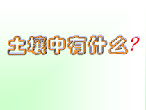 《土壤的成分》PPT课件 (5)-八年级下册科学浙教版