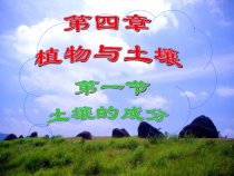 《土壤的成分》PPT课件 (10)-八年级下册科学浙教版