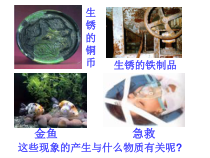 《氧气的性质》PPT课件-八年级下册科学浙教版