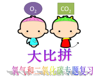 《氧气和二氧化碳》专题复习-八年级下册科学浙教版