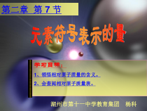 《元素符号表示的量》PPT课件 (4)-八年级下册科学浙教版