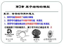 《原子结构的模型》PPT课件-八年级下册科学浙教版