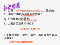 《植物的根与物质吸收》（第一课时）PPT课件-八年级下册科学浙教版
