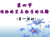 《植物的茎与物质运输》（第一课时）PPT课件 (8)-八年级下册科学浙教版