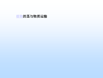 《植物的茎与物质运输》PPT课件 (4)-八年级下册科学浙教版