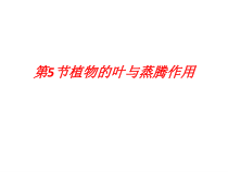 《植物的叶与蒸腾作用》PPT课件 (2)-八年级下册科学浙教版