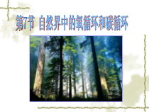 《自然界中的氧循环和碳循环》PPT课件 (2)-八年级下册科学浙教版