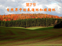 《自然界中的氧循环和碳循环》PPT课件 (4)-八年级下册科学浙教版