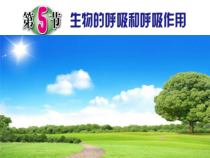 3.5《生物的呼吸和呼吸作用》(第一课时)PPT课件-八年级下册科学浙教版
