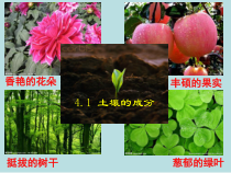4.1《土壤的成分》PPT课件 (12)-八年级下册科学浙教版