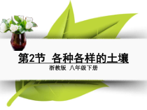 4.2《各种各样的土壤》PPT课件-八年级下册科学浙教版