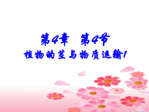 4.4 《植物的茎与物质运输》PPT课件-八年级下册科学浙教版