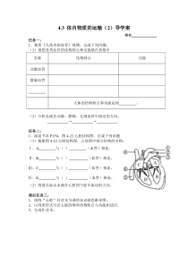 《体内物质的运输（2）》导学案-九年级上册科学浙教版