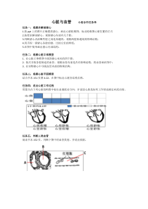 4.3《体内物质的运输——心脏和血管》素材-九年级上册科学浙教版