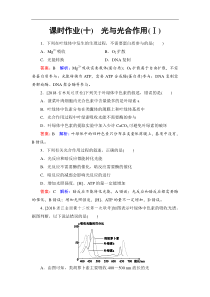 高考生物一轮复习：课时作业10光与光合作用(Ⅰ)（含解析）