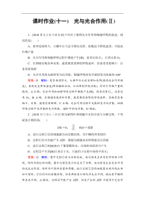 高考生物一轮复习：课时作业11光与光合作用(Ⅱ)（含解析）