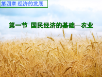 《第一节 国民经济的基础——农业》PPT课件2-科普版地理八年级上册