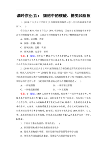 高考生物一轮复习：课时作业4细胞中的核酸、糖类和脂质（含解析）