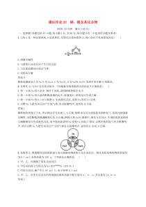 高考化学大一轮复习第20讲《钠镁及其化合物》课时作业(含解析)