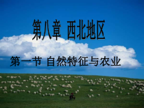 《第三节 西北地区和青藏地区》PPT课件1-科普版地理八年级下册