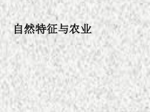 《第三节 西北地区和青藏地区》PPT课件6-科普版地理八年级下册