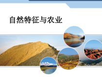 《第三节 西北地区和青藏地区》PPT课件7-科普版地理八年级下册