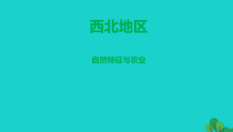 《第三节 西北地区和青藏地区》PPT课件9-科普版地理八年级下册