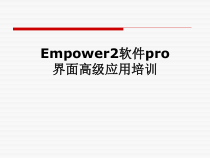 Empower2软件pro界面高级应用培训课件