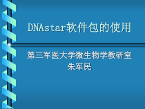 DNAstar软件包的使用课件11