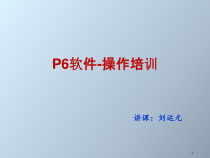 p6软件操作培训ppt课件