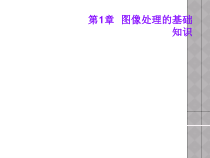 图像处理的基础知识课件