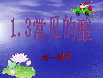 《常见的酸》PPT课件 (5)-九年级上册科学浙教版