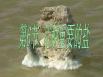 《几种重要的盐》PPT课件 (2)-九年级上册科学浙教版