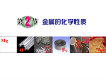 《金属的化学性质》PPT课件 (2)-九年级上册科学浙教版