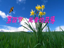 《能量的获得》PPT课件 (4)-九年级上册科学浙教版