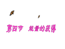 《能量的获得》PPT课件 (3)-九年级上册科学浙教版