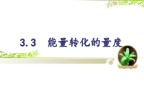 《能量转化的量度》PPT课件-九年级上册科学浙教版