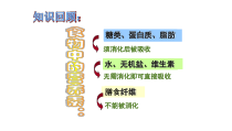 《食物的消化与吸收》PPT课件 (2)-九年级上册科学浙教版