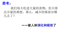 《食物的消化与吸收（1）》PPT课件-九年级上册科学浙教版