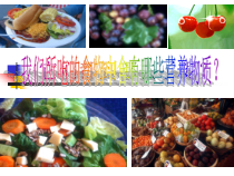 《食物的消化与吸收》PPT课件 (8)-九年级上册科学浙教版