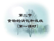 《食物的消化与吸收》PPT课件 (12)-九年级上册科学浙教版