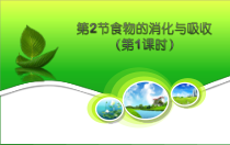 《食物的消化与吸收》PPT课件 (17)-九年级上册科学浙教版