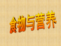 《食物与营养》PPT课件 (3)-九年级上册科学浙教版