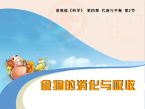 《食物的消化与吸收》PPT课件 (13)-九年级上册科学浙教版