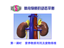 《体内物质的动态平衡》PPT课件 (3)-九年级上册科学浙教版