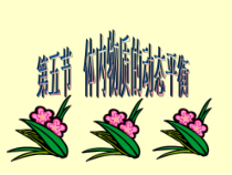 《体内物质的动态平衡》PPT课件 (4)-九年级上册科学浙教版